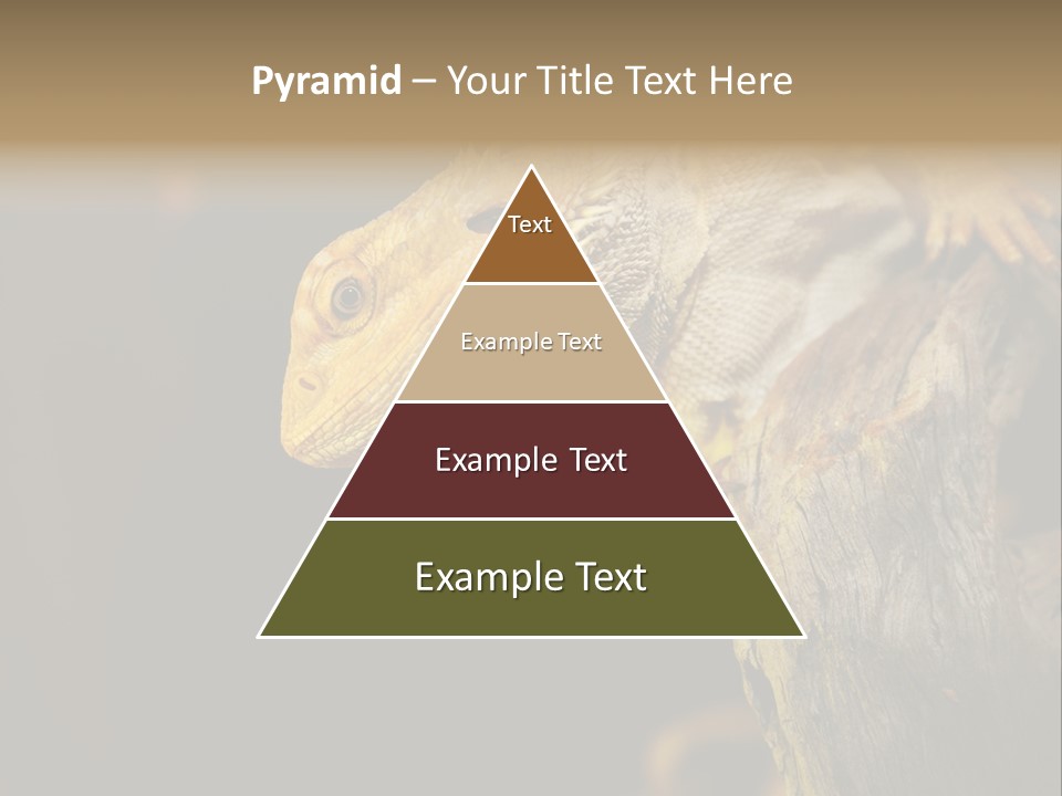 Juvenile Zoo Dragon PowerPoint Template