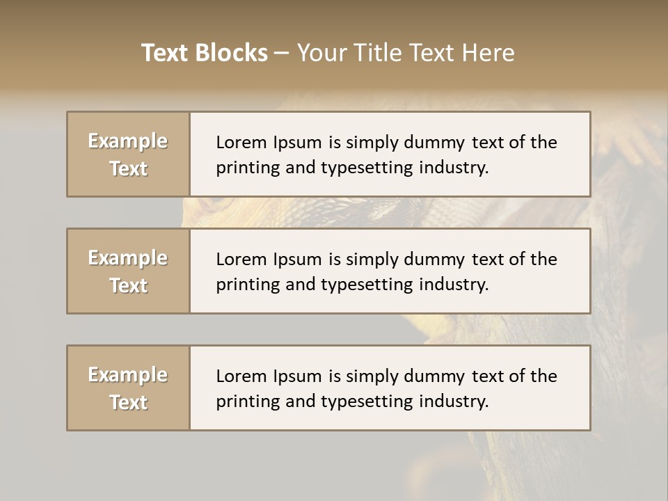 Juvenile Zoo Dragon PowerPoint Template
