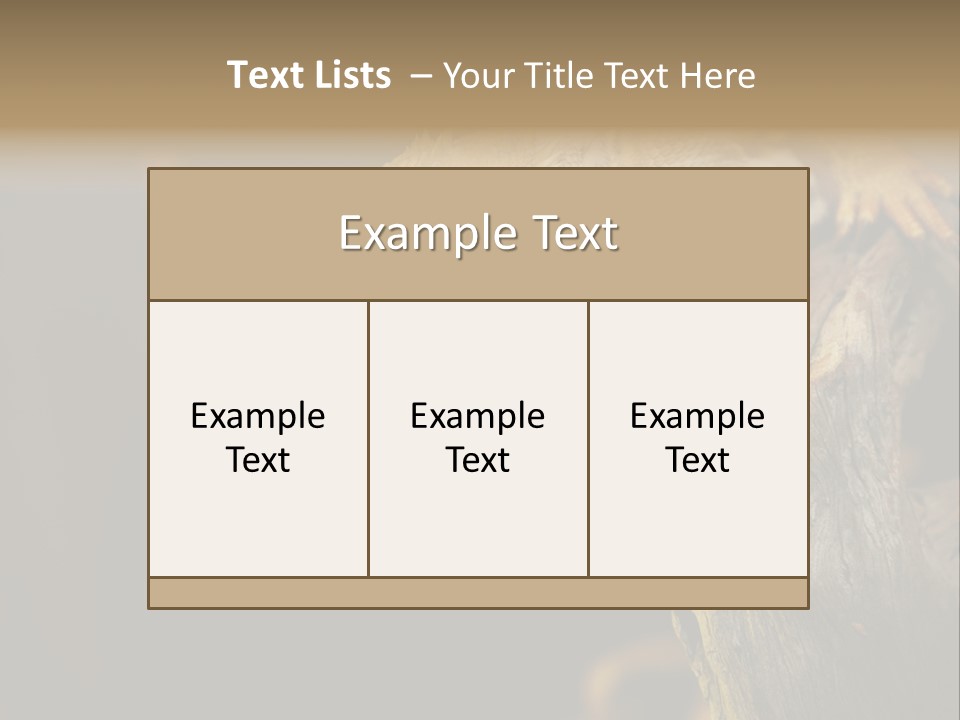 Juvenile Zoo Dragon PowerPoint Template