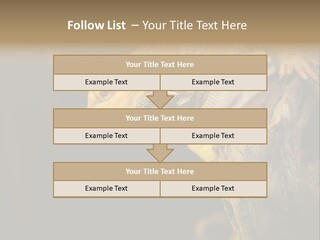 Juvenile Zoo Dragon PowerPoint Template