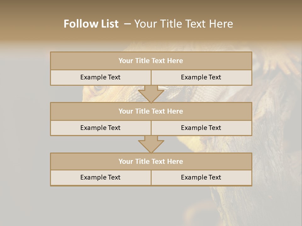 Juvenile Zoo Dragon PowerPoint Template