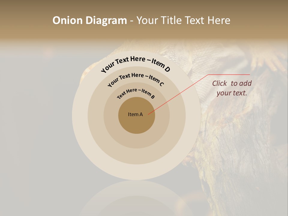 Juvenile Zoo Dragon PowerPoint Template