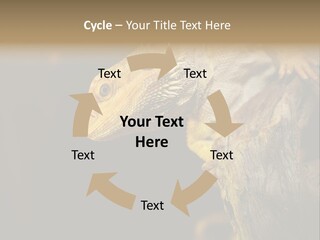 Juvenile Zoo Dragon PowerPoint Template