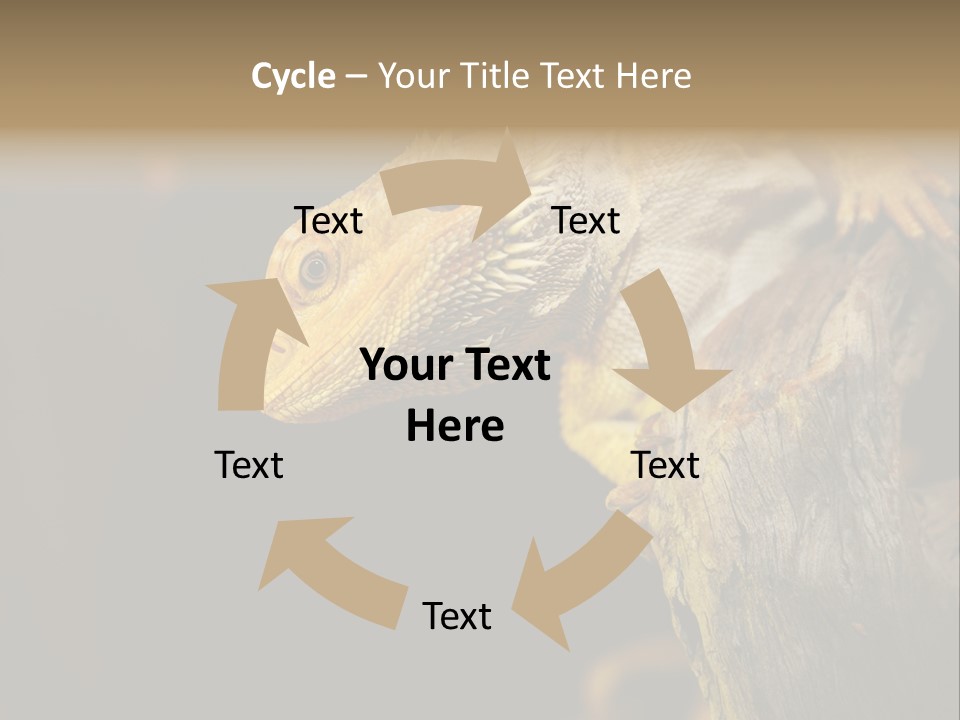 Juvenile Zoo Dragon PowerPoint Template