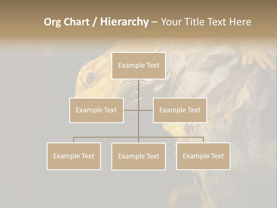 Juvenile Zoo Dragon PowerPoint Template
