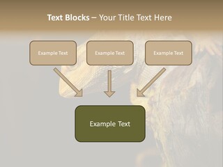 Juvenile Zoo Dragon PowerPoint Template