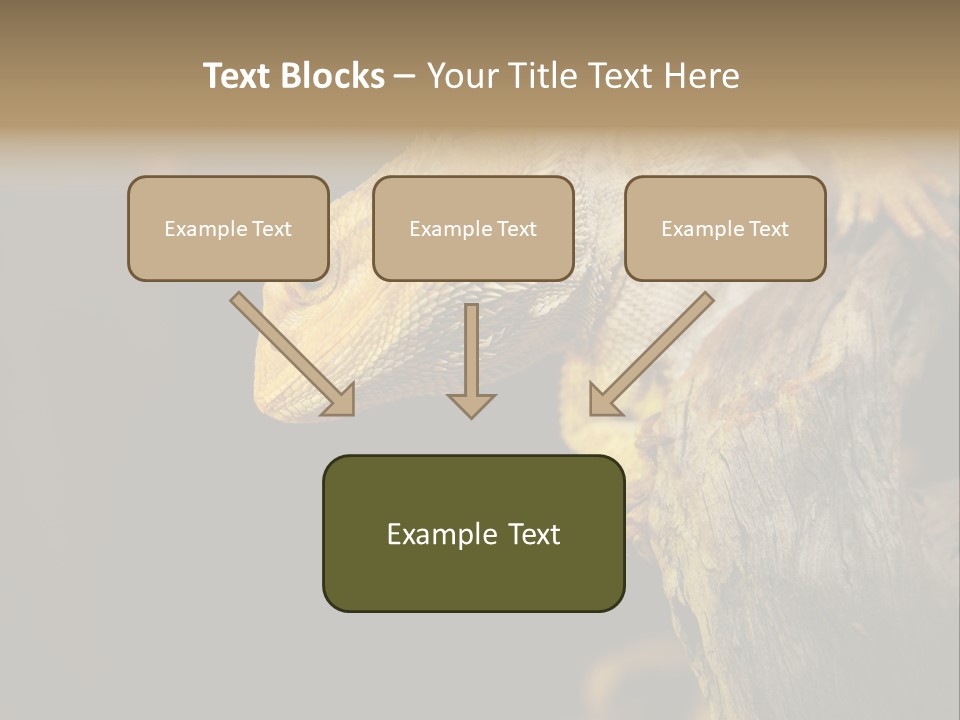 Juvenile Zoo Dragon PowerPoint Template