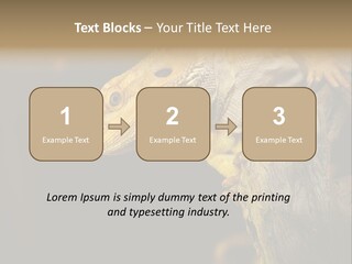 Juvenile Zoo Dragon PowerPoint Template