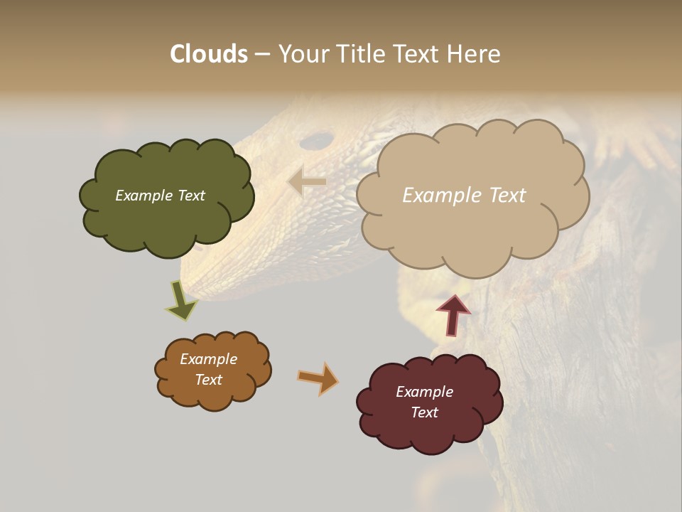 Juvenile Zoo Dragon PowerPoint Template