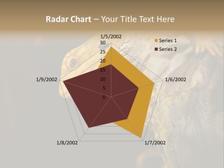 Juvenile Zoo Dragon PowerPoint Template