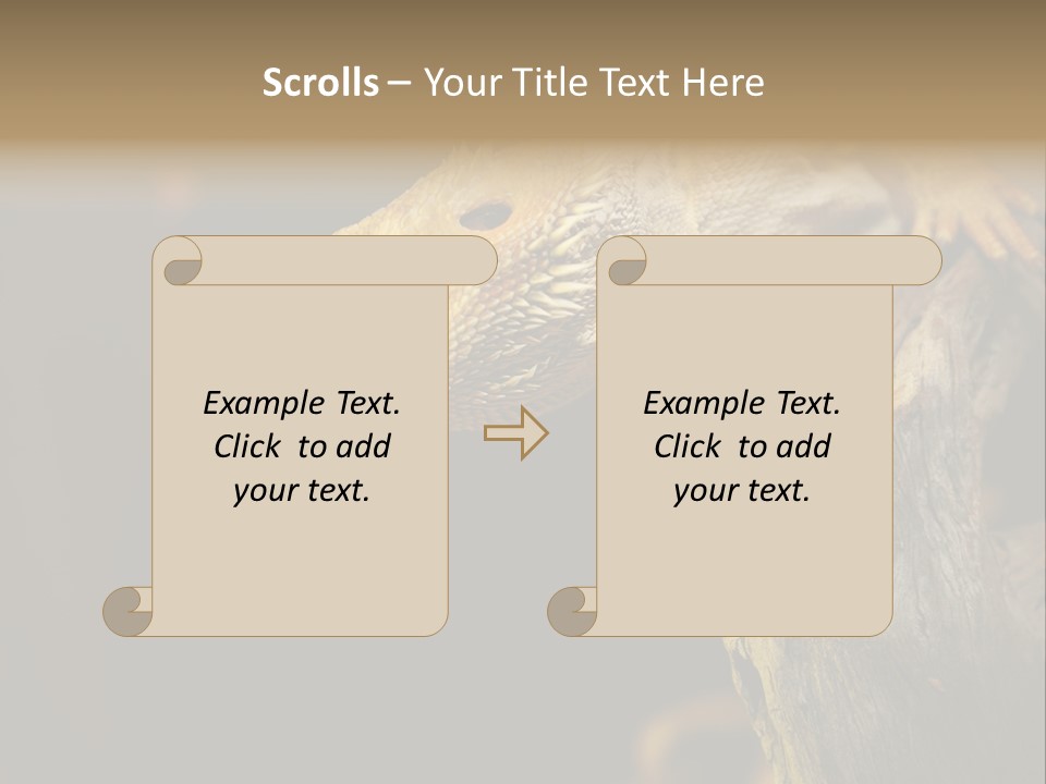 Juvenile Zoo Dragon PowerPoint Template