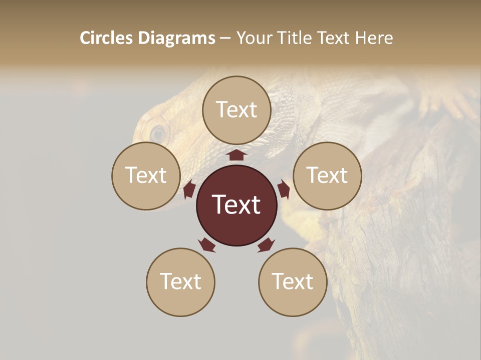 Juvenile Zoo Dragon PowerPoint Template