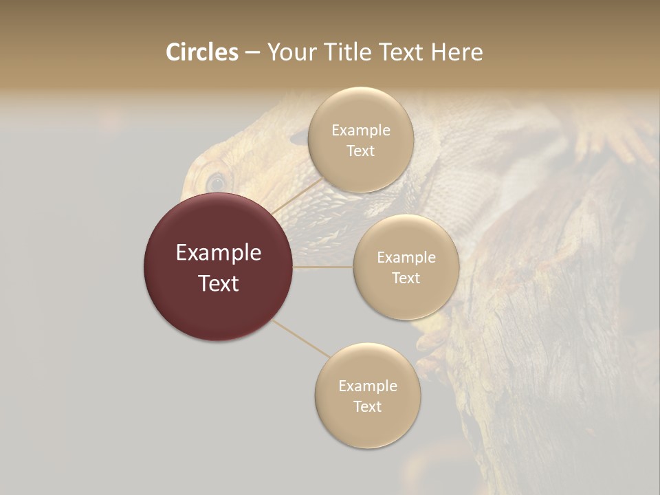 Juvenile Zoo Dragon PowerPoint Template