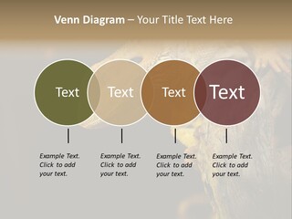 Juvenile Zoo Dragon PowerPoint Template