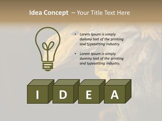 Juvenile Zoo Dragon PowerPoint Template