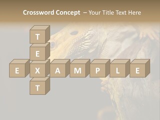 Juvenile Zoo Dragon PowerPoint Template