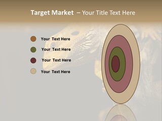 Juvenile Zoo Dragon PowerPoint Template