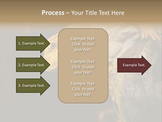 Juvenile Zoo Dragon PowerPoint Template