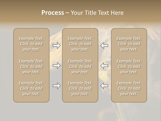 Juvenile Zoo Dragon PowerPoint Template