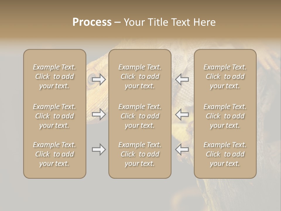 Juvenile Zoo Dragon PowerPoint Template