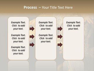 Juvenile Zoo Dragon PowerPoint Template
