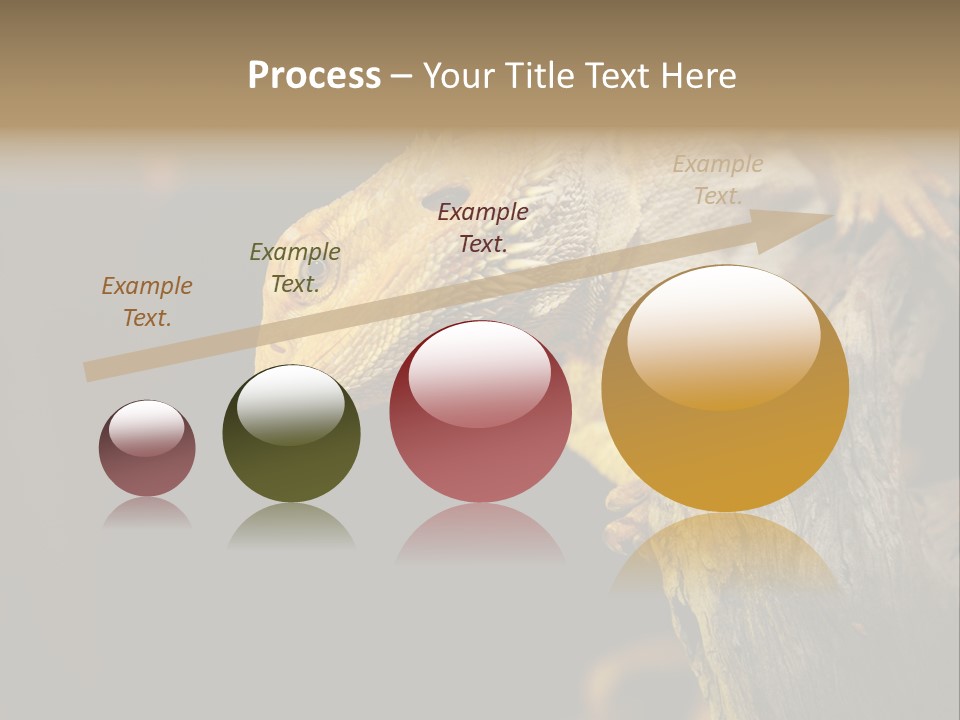 Juvenile Zoo Dragon PowerPoint Template