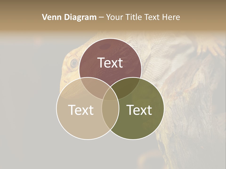 Juvenile Zoo Dragon PowerPoint Template