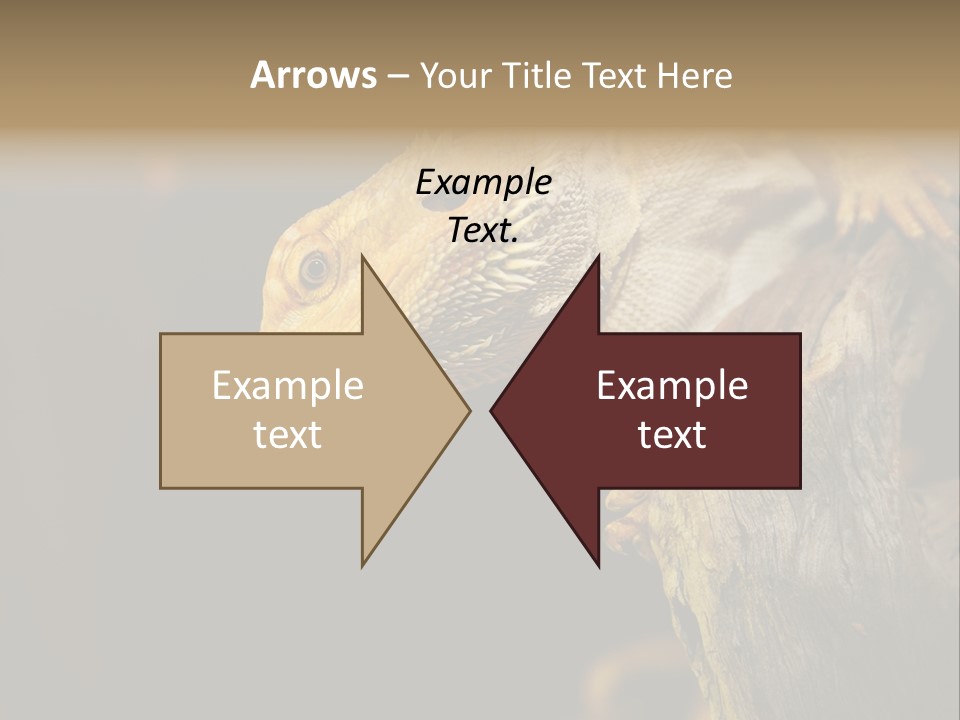 Juvenile Zoo Dragon PowerPoint Template