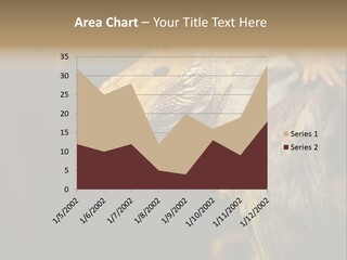 Juvenile Zoo Dragon PowerPoint Template