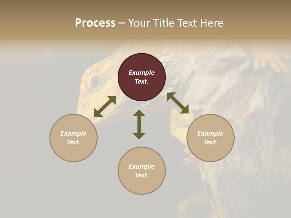 Juvenile Zoo Dragon PowerPoint Template
