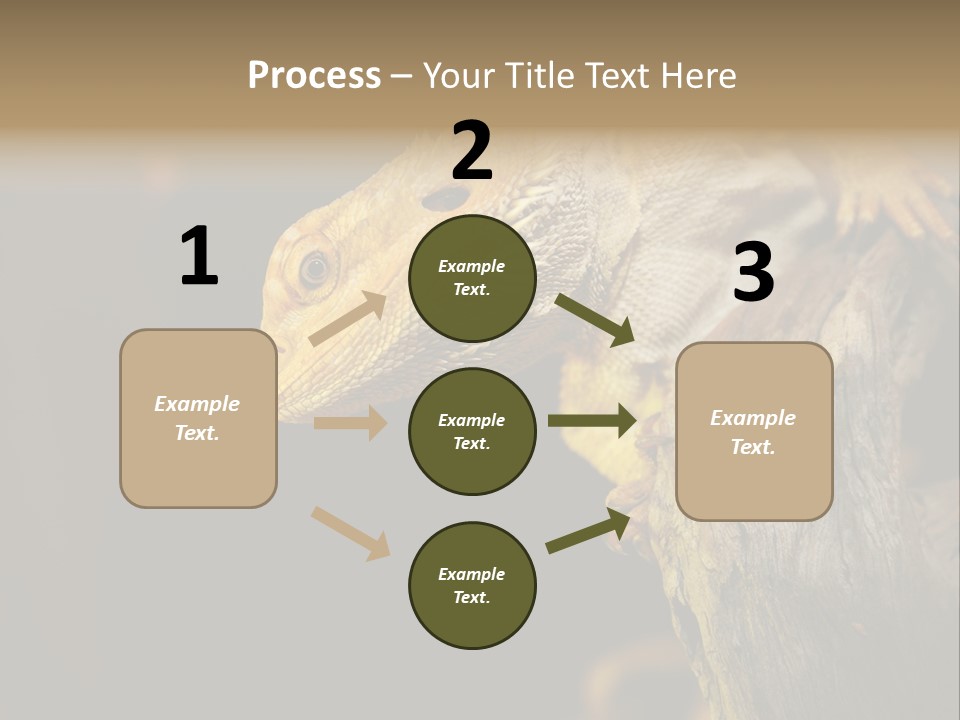 Juvenile Zoo Dragon PowerPoint Template