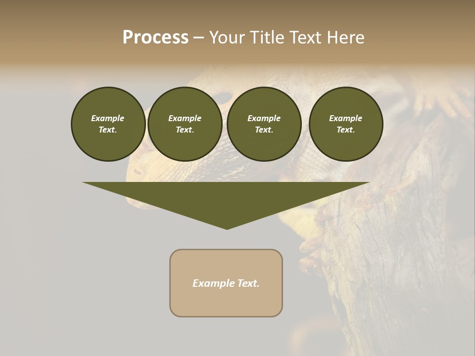 Juvenile Zoo Dragon PowerPoint Template