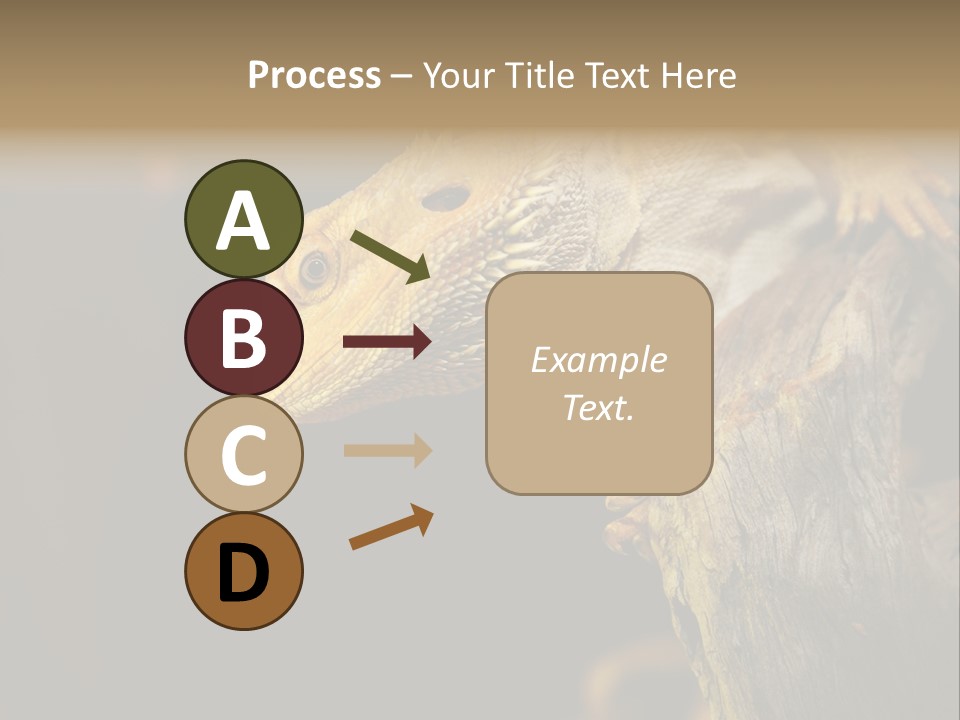 Juvenile Zoo Dragon PowerPoint Template