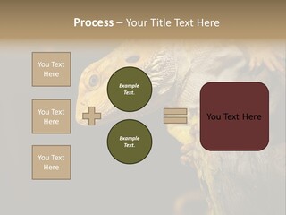 Juvenile Zoo Dragon PowerPoint Template
