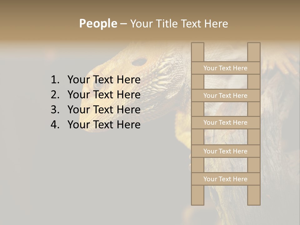 Juvenile Zoo Dragon PowerPoint Template