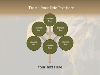 Juvenile Zoo Dragon PowerPoint Template