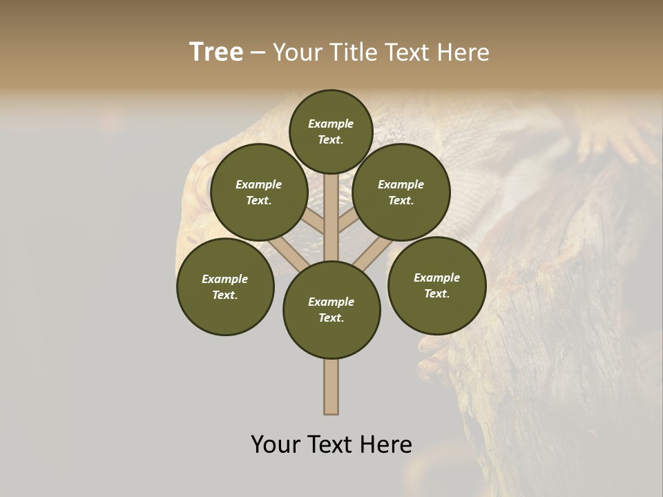 Juvenile Zoo Dragon PowerPoint Template