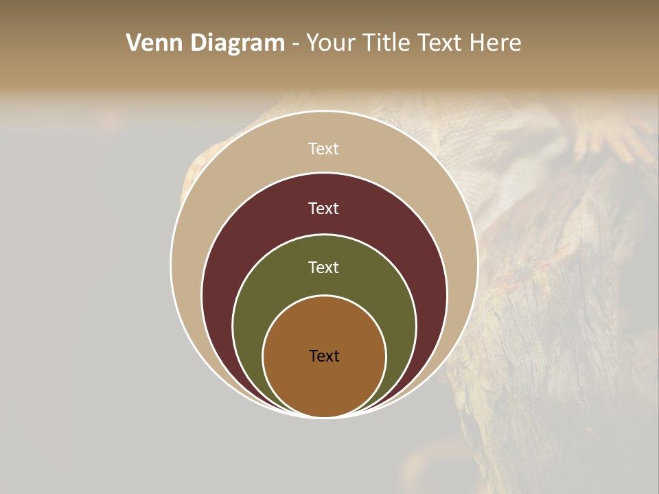 Juvenile Zoo Dragon PowerPoint Template