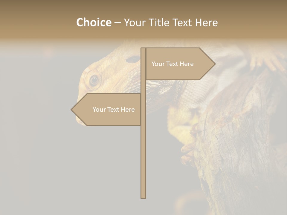 Juvenile Zoo Dragon PowerPoint Template