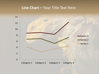 Juvenile Zoo Dragon PowerPoint Template