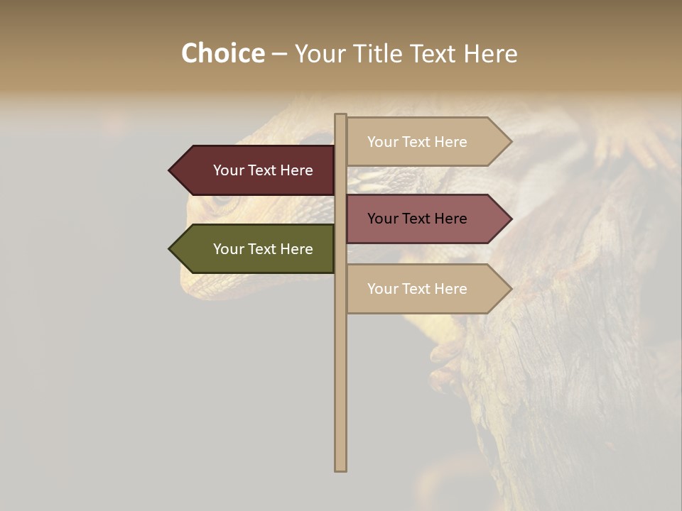 Juvenile Zoo Dragon PowerPoint Template