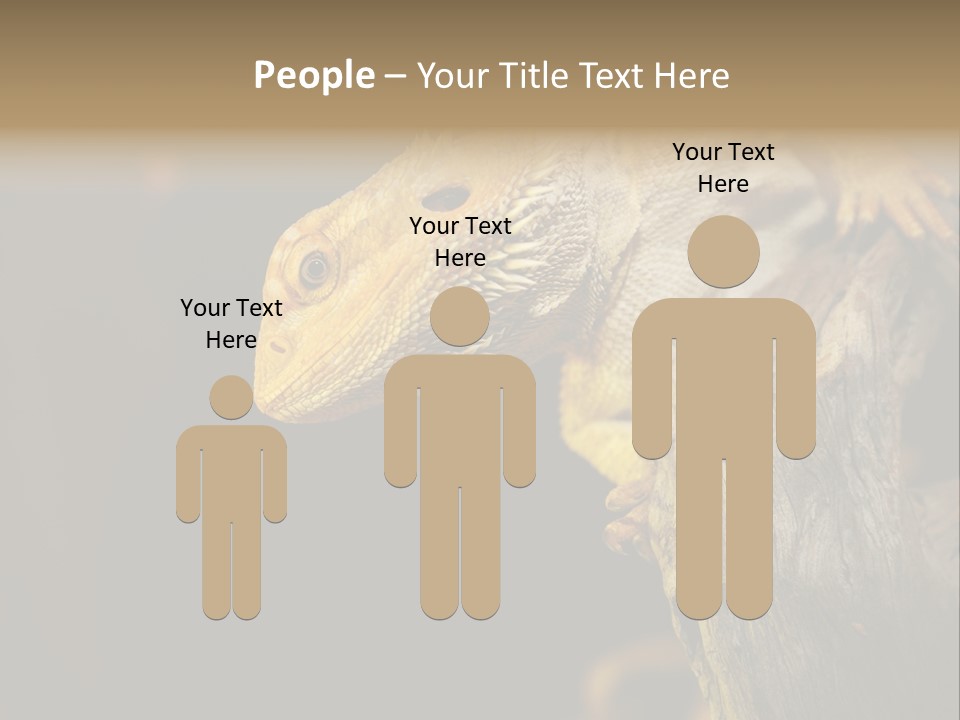 Juvenile Zoo Dragon PowerPoint Template