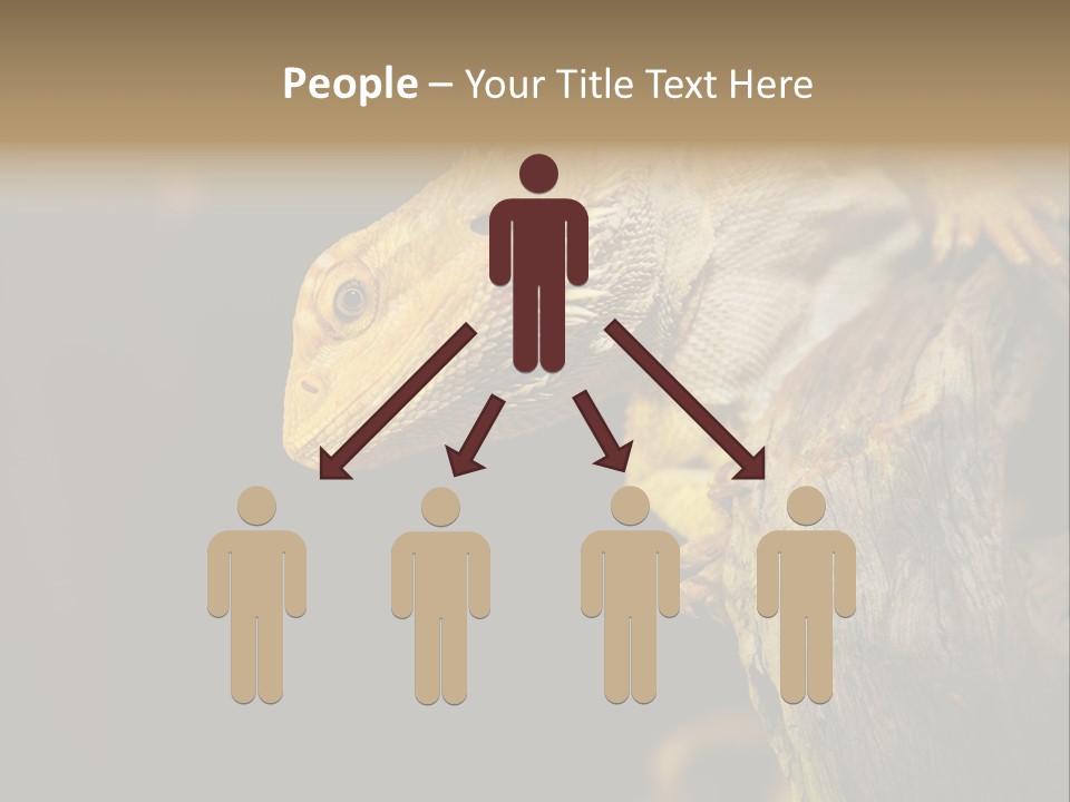 Juvenile Zoo Dragon PowerPoint Template