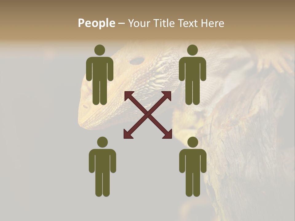 Juvenile Zoo Dragon PowerPoint Template