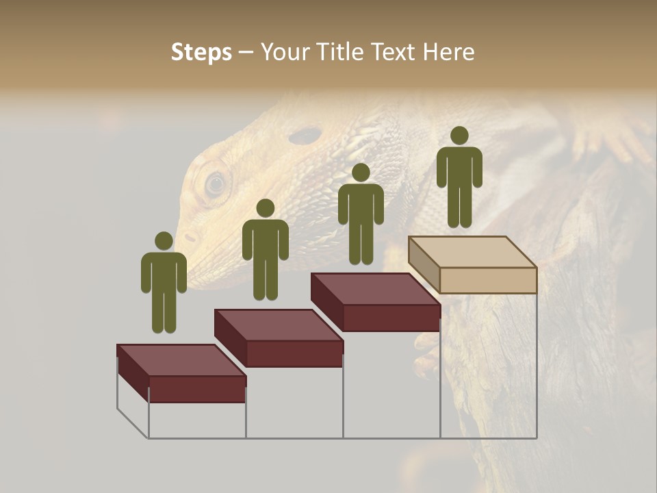Juvenile Zoo Dragon PowerPoint Template