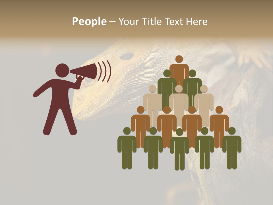 Juvenile Zoo Dragon PowerPoint Template