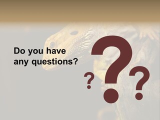 Juvenile Zoo Dragon PowerPoint Template