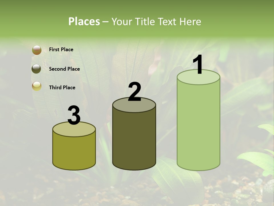 Nature Bearer Landscape PowerPoint Template