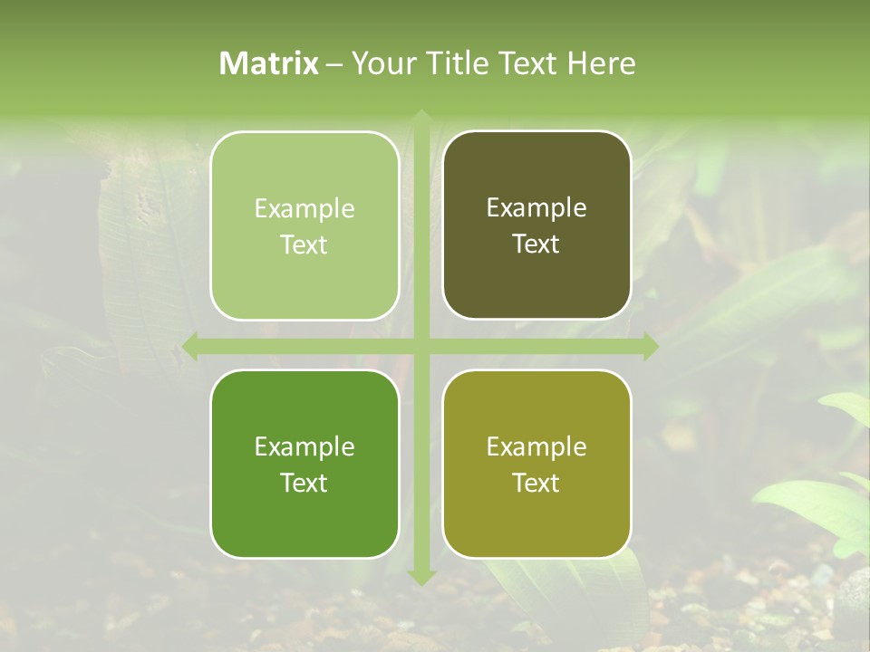 Nature Bearer Landscape PowerPoint Template