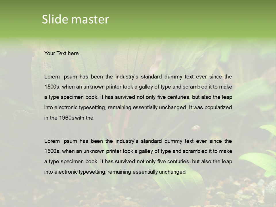 Nature Bearer Landscape PowerPoint Template